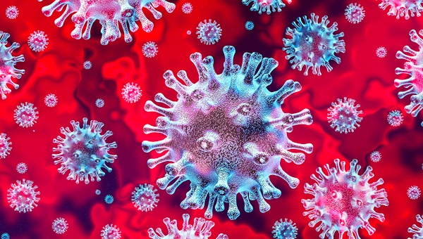 Malattia da coronavirus 2019